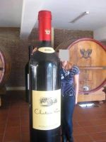 Bottiglia Vino Gonfiabile